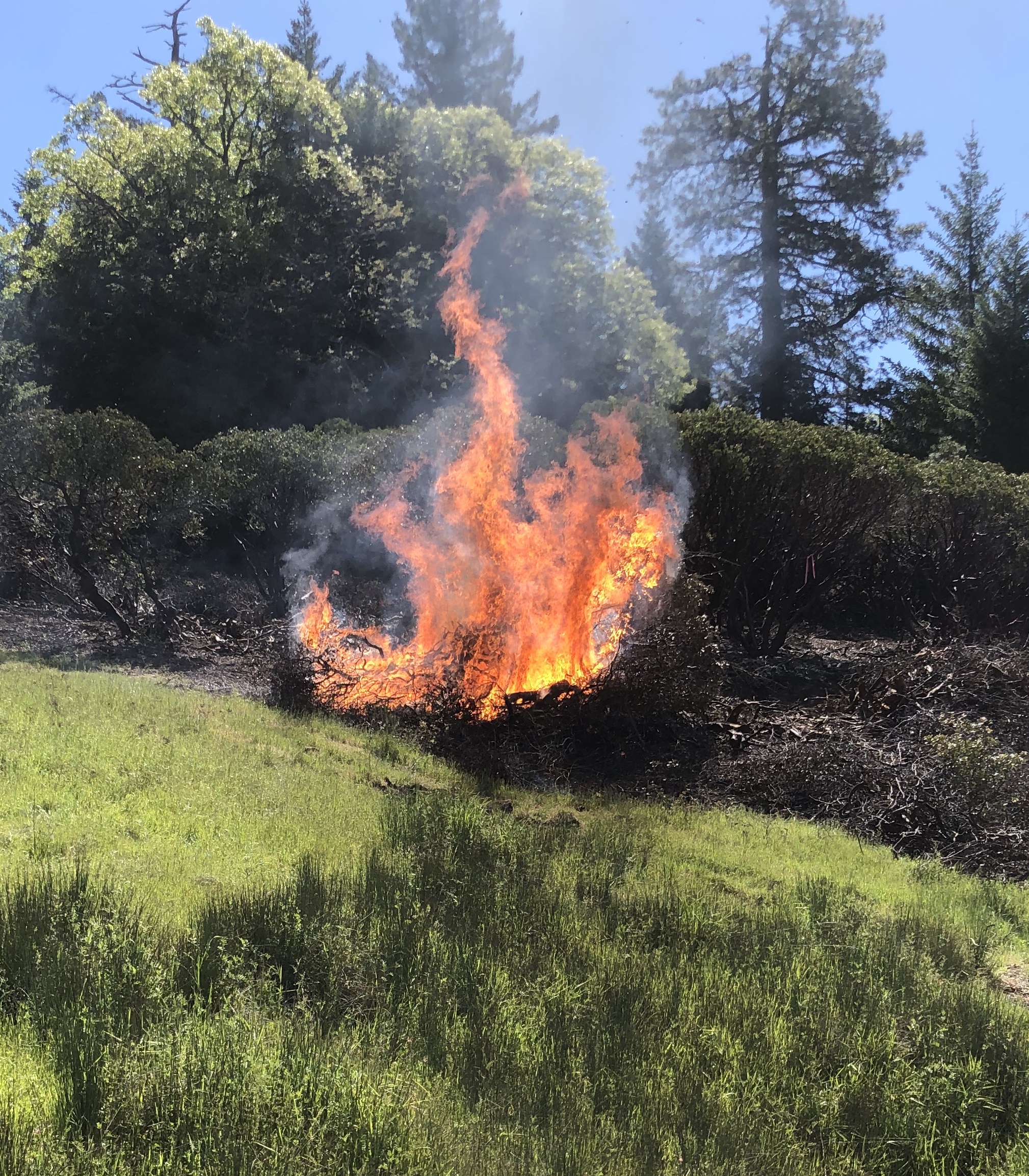 Pile Burning Workshop