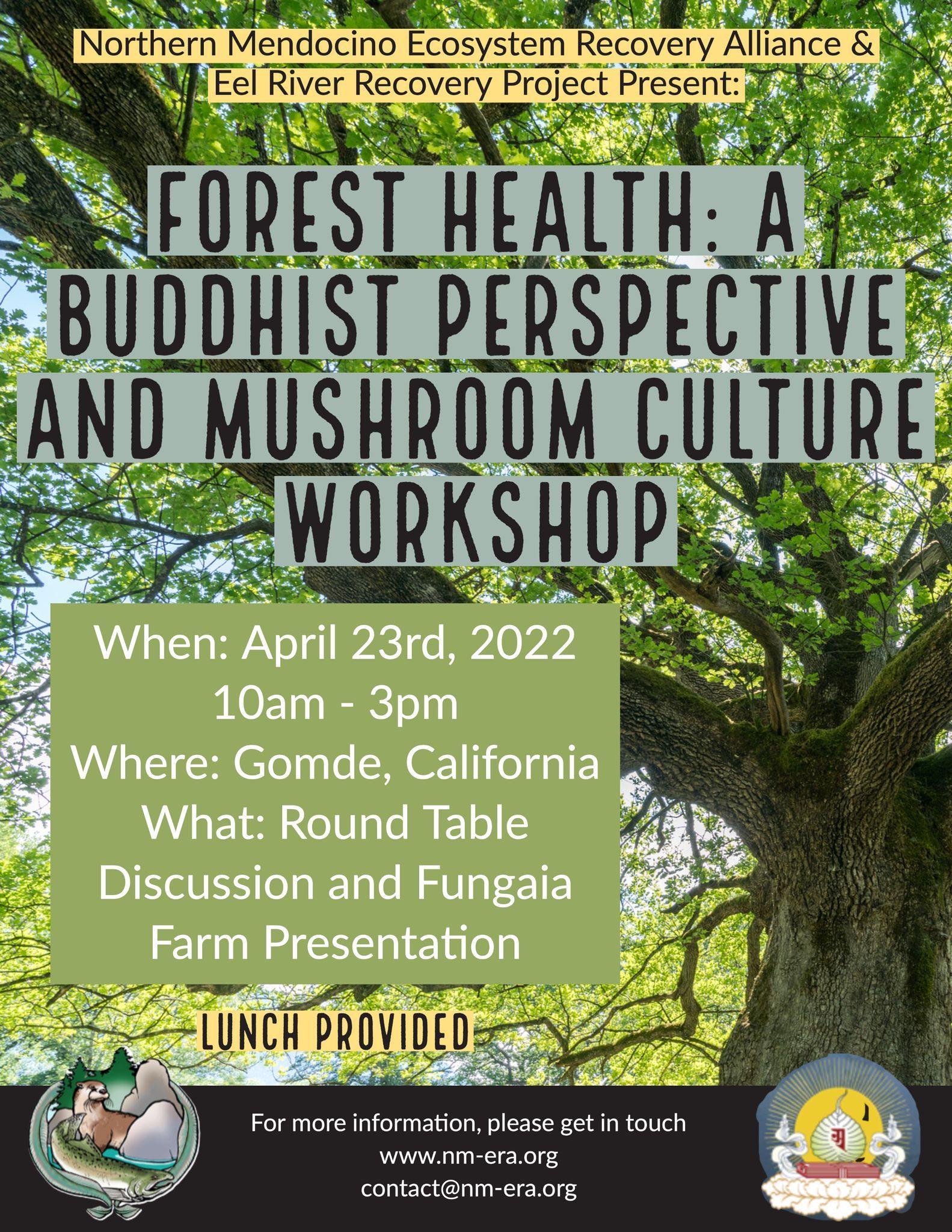 Next Up--Forest Health: A Buddhist Perspective and Mushroom Culture Workshop