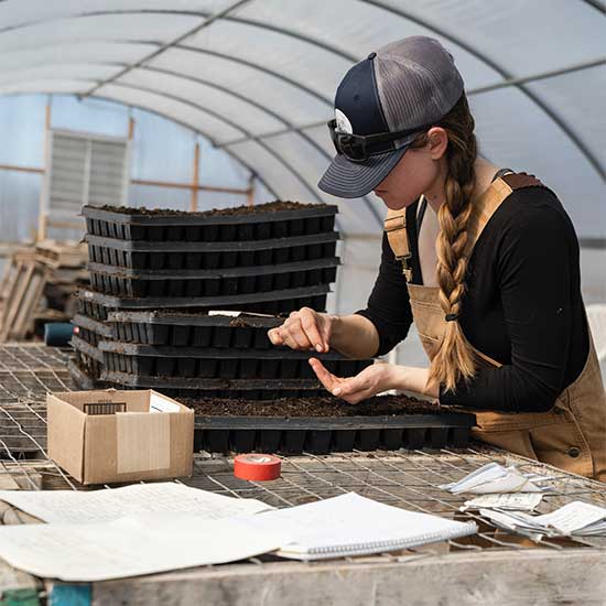 Women’s Chainsaw Workshop